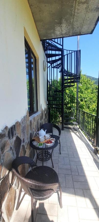 Guest House Bochora Bordjomi Extérieur photo