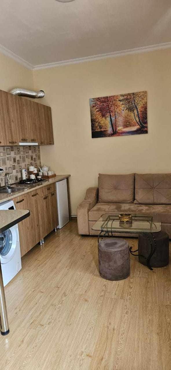 Guest House Bochora Bordjomi Extérieur photo